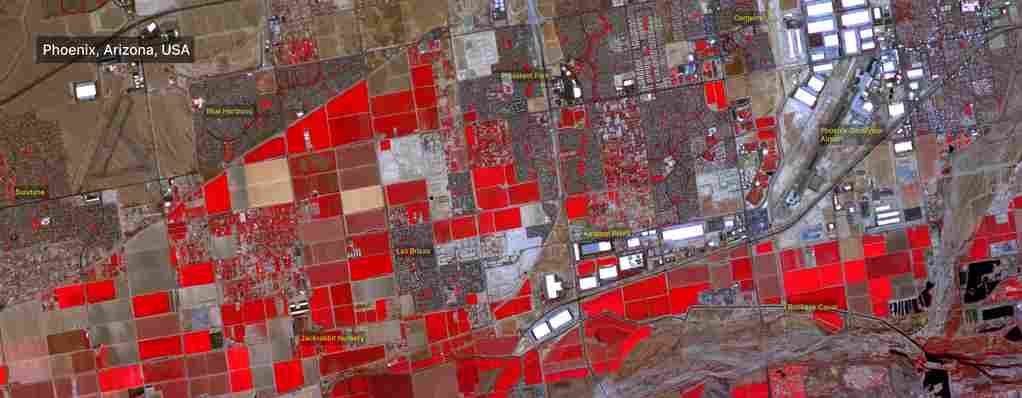 Date: 2023-08-25, InternalID: 1r121, Location Name: Phoenix City, Arizona
